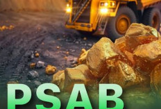 Info Emiten Hari Ini, Fantastis, Emiten PSAB Catat Kenaikan Laba Bersih 2.222 Persen di Kuartal I 2026