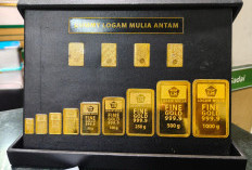 Harga Emas Antam Hari Ini Jumat 13 Februari 2026 Anjlok Rp 45 Ribu, Logam Mulia 0,5 Gram Pas Rp 1,5 Juta
