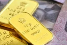 Harga Emas Antam Hari Ini Kamis 8 Januari 2026 Anjlok 14 Ribu, Logam Mulia 2 Gram Pas di Level Rp 5 Juta