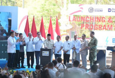 PLTS 100 GWp Diluncurkan, PLN Siap Dukung Akselerasi Pengembangan EBT Menuju Swasembada Energi