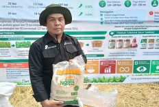 Bukti Nyata Kerja Keras, Petani PALI Ini Puluhan Tahun Tak Pernah Beli Beras 