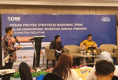 Sumsel Satu-satunya Provinsi di Sumatera Ditarget Pertumbuhan 8 Persen, PSN Berpotensi Penggerak Utama