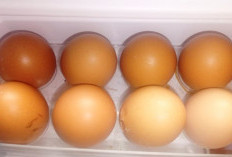 Daftar Harga Sembako Hari Pertama Ramadhan 1447 H di Palembang Terkini, Telur Ayam Rp 29.000 per Kg