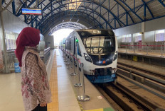 PLN UID S2JB Lanjutkan Gerakan Clean Energy Day, Dorong Gaya Hidup Listrik Para Pegawai