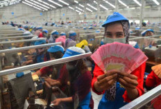 Beda Kebijakan Pajak THR 2026, Pekerja Swasta Kena Potongan Pajak, ASN dan TNI-Polri Ditanggung Negara   