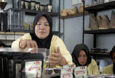 Kopi Tebat Benawa Pusri, Tumbuhkan Harapan Petani di Gunung Dempo Pagar Alam