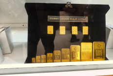 Harga Emas Antam Hari Ini Kamis 14 Mei 2026 Tak Berubah, Logam Mulia 1 Gram Tetap Bertahan di Rp 2,8 Juta