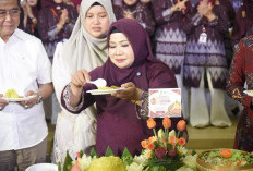 7 Tahun Aspenku Sumsel, 500 UMKM Kuliner Tumbuh dan Naik Kelas