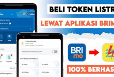 Tak Perlu Lagi ke Kota, IRT di Empat Lawang Ini Terbantu Beli Token Listrik Lewat BRImo