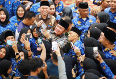 Kabar PPPK Kena PHK, Gubernur Herman Deru: Tidak Berdampak di Sumsel