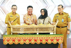 Di Hadapan Wamendagri, Gubernur Herman Deru Yakin Pusat akan Beri Perhatian Lebih kepada Sumsel 