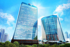 Lebih dari Dua Dekade Melantai di Bursa Efek Indonesia, Harga Saham BBRI Telah Naik 48 Kali