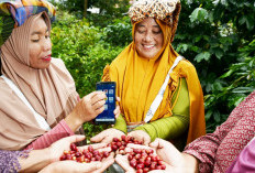 Dukung Ketahanan Pangan, BRI Salurkan KUR Rp 65,95 Triliun, Jangkau 558 Ribu Petani dan 23 Ribu Nelayan   