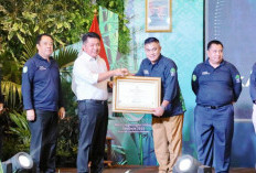 Momen Hari Lingkungan Hidup Sedunia, Ratu Dewa Raih 3 Penghargaan Langsung dari Gubernur Sumsel