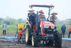 Herman Deru Dampingi Kapolri Tanam Jagung Serentak di Ogan Ilir, Perkuat Komitmen Swasembada Pangan