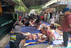 Masjid Jamik Karya Bakti Kelurahan Pahlawan Potong Hewan Qurban 4 Sapi dan 2 Kambing