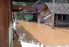 Hingga Hari Ini, Banjir Masih Rendam 4 Kecamatan di Muratara, 16.169 Rumah Terdampak