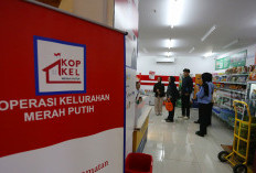 Catat! Jadwal dan Persyaratan Rekrutmen Koperasi Merah Putih, Buruan Langsung Jadi Karyawan BUMN