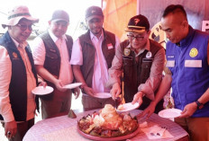 Tim Pagarapat PT BAP Diaktifkan, Jadi Model Penanganan Konflik Satwa di Sumatera