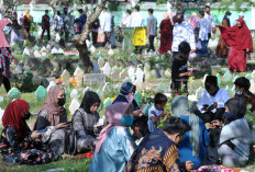 Tradisi Ziarah Kubur Menjelang Puasa, Sejumlah TPU di Kota Palembang Makin Ramai Dikunjungi Warga