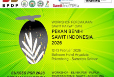 Palembang Jadi Kota Pertama Gelar Pameran Benih Sawit Unggul 2026, Rangkaian Workshop Peremajaan Sawit Rakyat 
