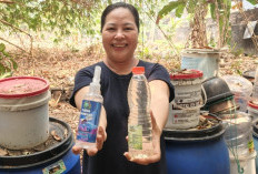 Suyanti, Ubah Sampah Organik Jadi Eco Enzyme, Bergerak Peduli Kabut Asap