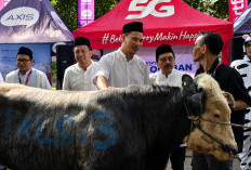 XLSMART dan MTXLSMART Berbagi Program Qurban Satu Rasa Serentak di 27 Kabupaten Kota di Indonesia 