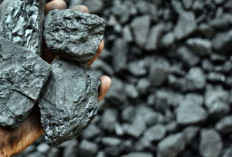 Info Emiten Hari Ini, Terkait Tambang di Sumsel, Kabar MEJA Akuisisi Trimata Coal Perkasa Muncul Lagi