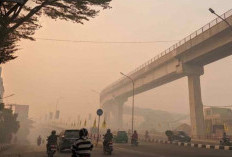 Kualitas Udara Palembang Kian Berbahaya, 17.434 Warga Terkena ISPA 