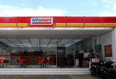 Info Emiten Hari Ini, Alfamart Rencana 800 Gerai Baru di Luar Jawa, Penjualan Batu Bara PKPK Siginifikan 