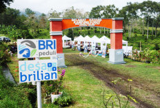 Jangkau 5.245 Desa BRILiaN, BRI Perluas Dukungan bagi Pengembangan Ekonomi Desa