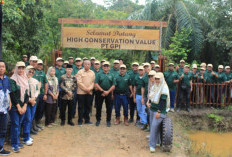 PT GPI Luncurkan Tree Planting Project di Kawasan HCV, Perkuat Kontribusi Menuju Net Zero Emission