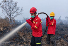 Dari Lokasi Karhutla, Sarbaini Memantau Kehamilan Istri