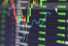 Demutualisasi BEI, Danantara Bakal Masuk Jadi Pemegang Saham, 30 Persen Kapitalisasi Pasar Modal dari BUMN