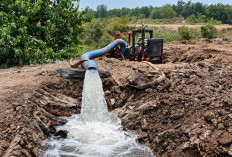 RHM Lakukan Pembasahan Lahan Gambut di Musim Kering