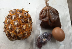 Viral Paket MBG Isi Buah Nanas Utuh di SDN Palembang, Ini Penjelasan SPPG