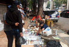 Pasar Loak Cinde Palembang, Harta Karun Pecinta Preloved