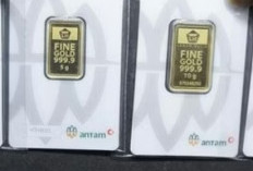 Harga Antam Hari Ini Jumat 30 Januari Anjlok Rp 48 Ribu, Logam Mulia 0,5 Gram Bertahan di Rp 1,6 Juta