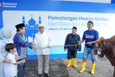 Semangat Berbagi Idul Adha, BRI Group Distribusikan lebih dari 5.000 Hewan Kurban di Berbagai Daerah