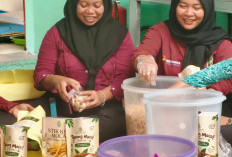 Kolaborasi Pertamina PHE Jambi Merang-KWT Embun Pagi, Singkong Kini Naik Kasta dan Menjelma jadi Makanan Mewah