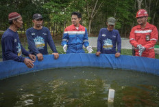 Kilang Plaju Konsisten Lestarikan Hayati, Konservasi Rusa, Ikan Belida, Penghijauan hingga Bibit Mangrove 
