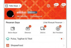 Butuh Dana Tunai Lebih, Berikut Cara Mengajukan Kenaikan Limit SPinjam pada Shoppe