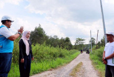 PLN–DPR RI Tinjau Progres Listrik Desa Pulau Semambu, 4,63 Km Jaringan Rampung Jangkau Lima Dusun