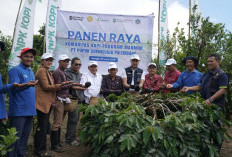 Pusri dan Kementerian Pertanian Bersinergi Perkuat Daya Saing Kopi Arabika Kintamani di Pasar Global