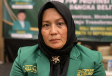 Polri Tetapkan Wagub Babel Hellyana Tersangka Dugaan Ijaza Palsu