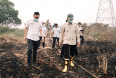 Faktanya di Lapangan, Palembang Dikepung Asap Kiriman, hanya 3 dari 66 Titik Karhutla di dalam Kota
