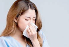 Tampak Mirip, ISPA dan Influenza Itu Penyakit Berbeda, Mari Pahami Gejala dan Cara Mencegahnya