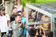  Gubernur Herman Deru Tekankan Pentingnya Kelestarian Hutan saat Hadiri Halal Bihalal IKA SKMA Sumsel