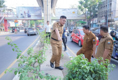 Sambut HUT ke-1343, Sekda Aprizal Tinjau Pengecatan Trotoar dan Ajak Pelaku Usaha Percantik Palembang