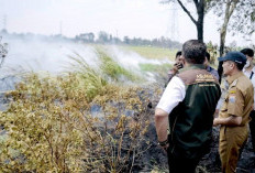 Gubernur Herman Deru dan Walikoto Ratu Dewa Tinjau Langsung Daerah Kerawanan Tinggi Karhutla di Palembang
